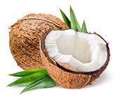 Kokosprotein